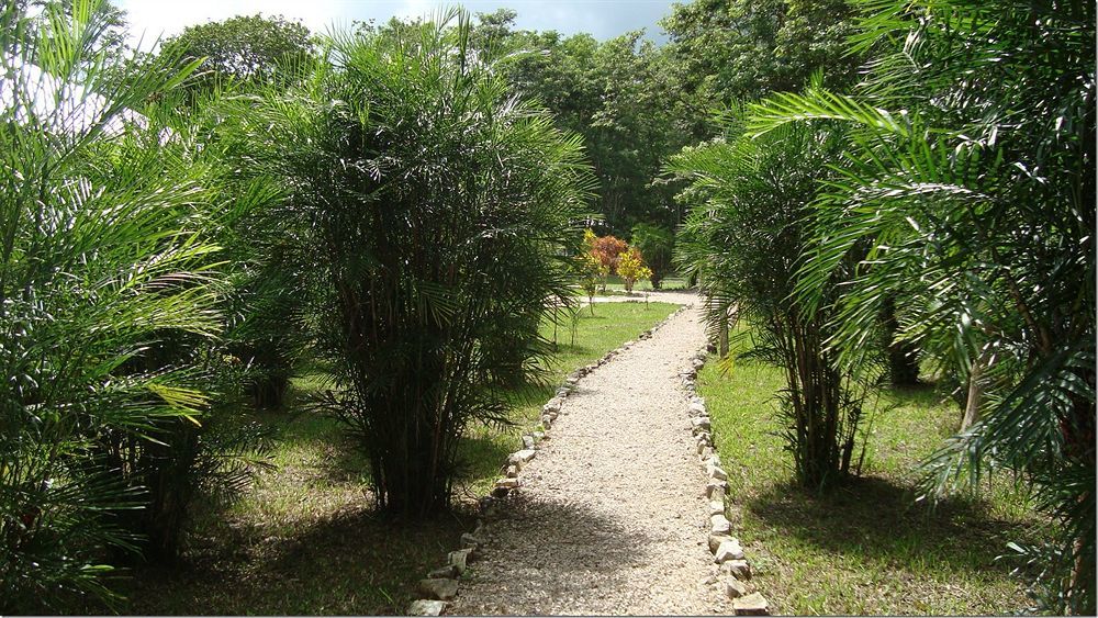 Maya Zac Peten Jungle Lodge เอล เรมาเต ภายนอก รูปภาพ
