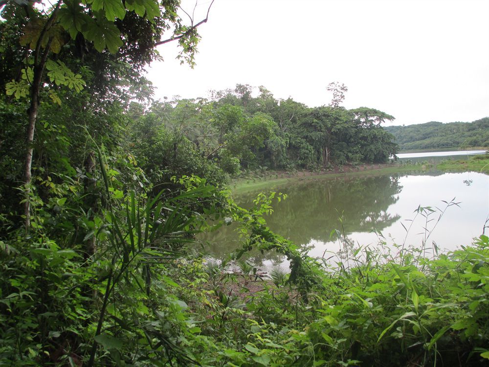 Maya Zac Peten Jungle Lodge เอล เรมาเต ภายนอก รูปภาพ